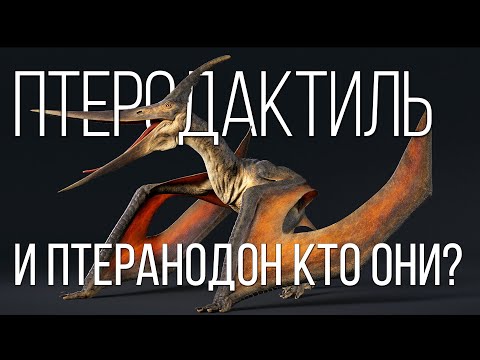 Видео: Птеродактиль: Летающая Доисторическая Рептилия | Интересные факты про динозавров