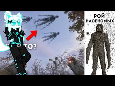 Видео: Реакция на ZanZax - S.T.A.L.K.E.R 2 - 6 секретных мутантов/Нокс