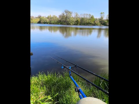 Видео: Відкриваємо сезон 2025р. Холодна вода. Flat Feeder.
