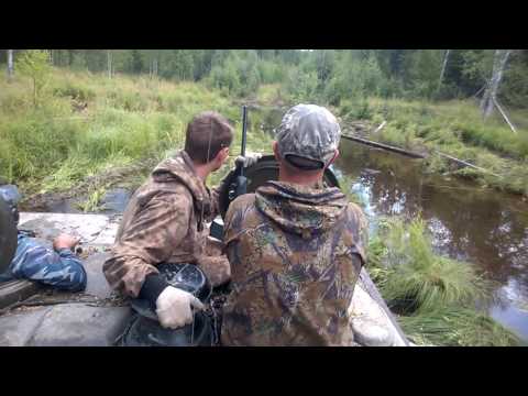 Видео: Тайга, Пелымские болота