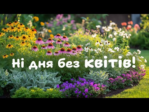 Видео: 20 довгоквітучих  рослин для безперервного цвітіння саду.