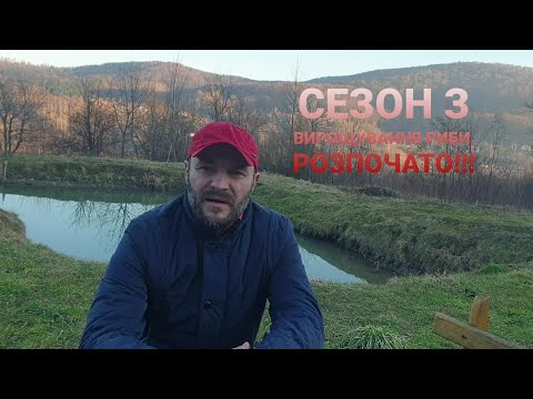 Видео: Вирощування,  розведення риби у невеликих ставках для власних потреб! Розпочинаю сезон!