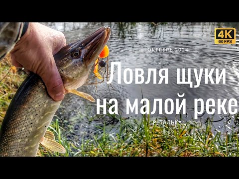 Видео: Ловля щуки осенью. Спиннинг с берега на малой реке