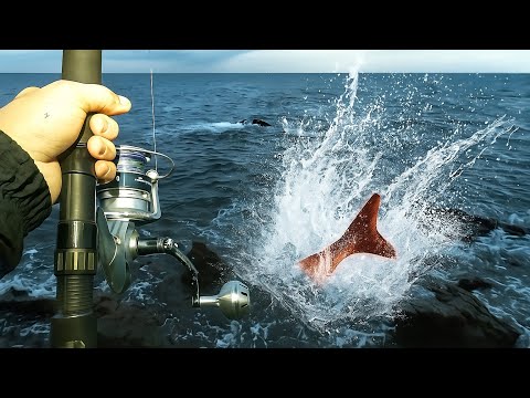 Видео: На меня напал Снэппер!! Дорога к 10-килограммовому Снэпперу, эпизод 9