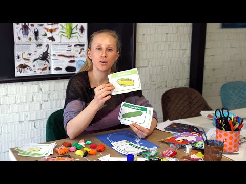 Видео: Урок английского для детей. Vegetables / Овощи.