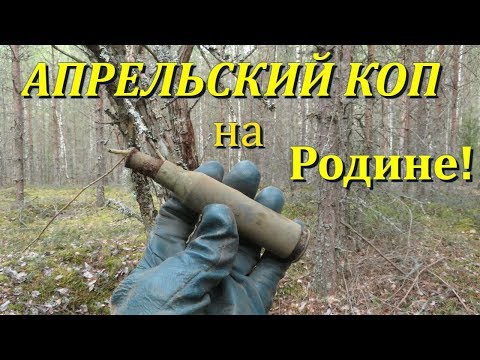 Видео: Весенний КОП на Псковской земле//Трагическая судьба Косули 12+