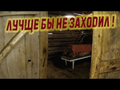 Видео: заброшенная деревня в глухой тайге  и неожиданная и не самая приятная находка