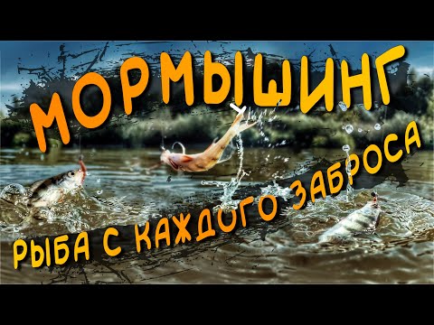 Видео: МОРМЫШИНГ-Поймай СОТНЮ Окуней, РЫБАЛКА Это Лучший ОТДЫХ!