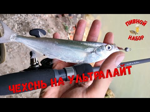 Видео: Ловля Чехони на мелкий силикон в р.Кубань.