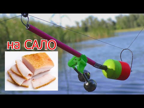 Видео: Рыбалка на САЛО на большой реке