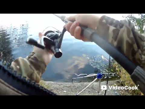 Видео: Резко похолодало. Водоросли возле берега. Конец сентября! 