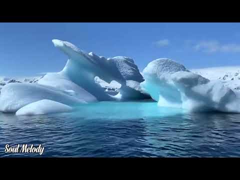 Видео: Самая красивая мелодия в мире💖Которую хочется слушать три часа🎶Лучшие композиции Сергея Грищука #1