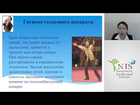 Видео: Значение дыхательной системы  Манкиева Л М