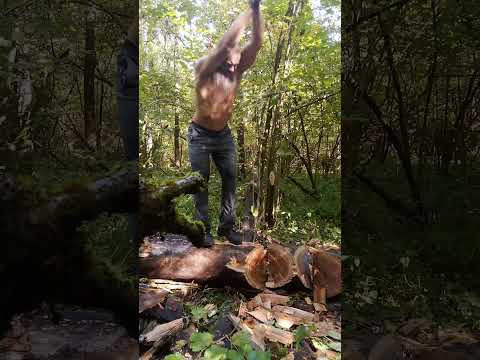 Видео: Эксперимент с топорищем.