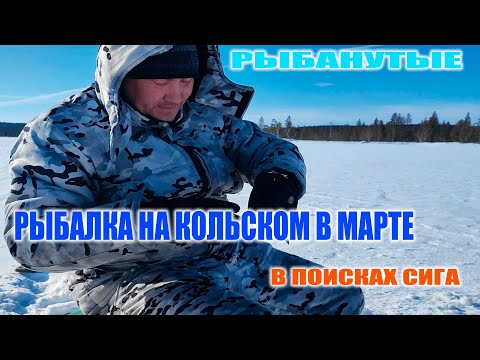 Видео: ЧТО МОЖНО ПОЙМАТЬ НА КОЛЬСКОМ В МАРТЕ ? ИЩЕМ РЫБУ В ОЗЕРАХ