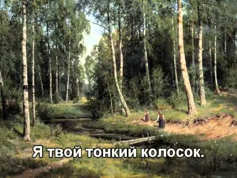 Видео: Русское поле - Ян Френкель (Subtitles)