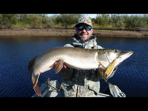 Видео: Очень уловистый щучий вобблер Jonny Vobbler Strike Pro