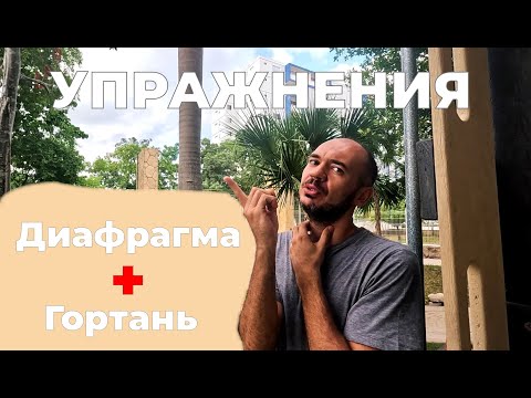 Видео: Лечим ЗАИКАНИЕ | Диафрагма и Гортань | Упражнения помогут!