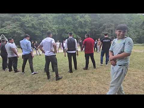 Видео: Богар.      игра на Германию. 