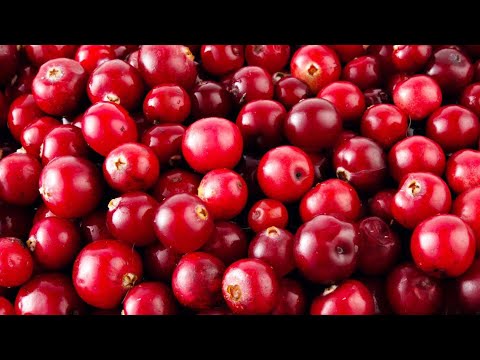 Видео: Shaman vs The Cranberries - Я русский Zombie (mash up)