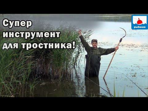 Видео: Рыбалка на линя в тростниковом окне и рдесте - где будет он?