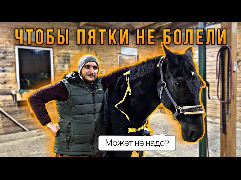 Видео: Ортопедическая ковка Карата. Как зарождалось копыто. Тонкости ортопедии.