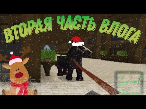 Видео: Вторая часть влога 💚❄