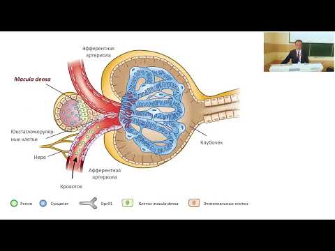 Видео: Инфузионная терапия 2022: что такое сбалансированный раствор и когда он нужен?