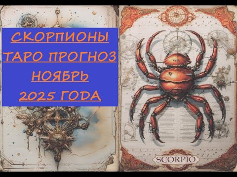 Видео: 21 октября 2025 г.
