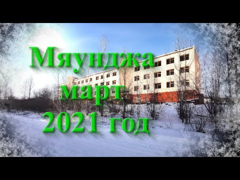 Видео: Мяунджа , март 2021 год, Колыма , Магаданская область