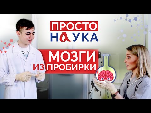 Видео: Мозги из пробирки. Как и зачем ученые выращивают мини-мозги