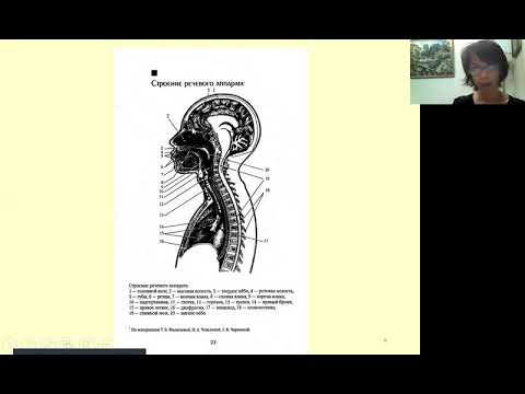 Видео: МЛР общее  дислалии Л3 1