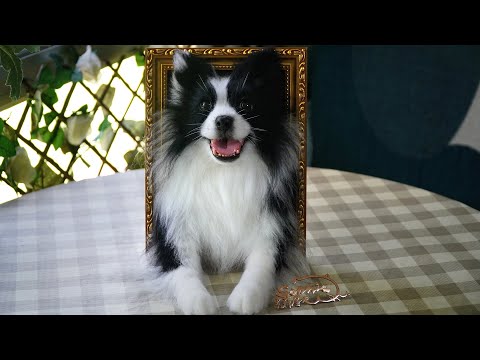 Видео: Бордер Колли【Sophie Wool】ручной работы ремесло валяная игла шерсть реалистичный Кот собака (3D)2025