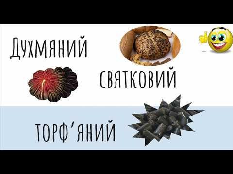 Видео: Правила написання слів з апострофом