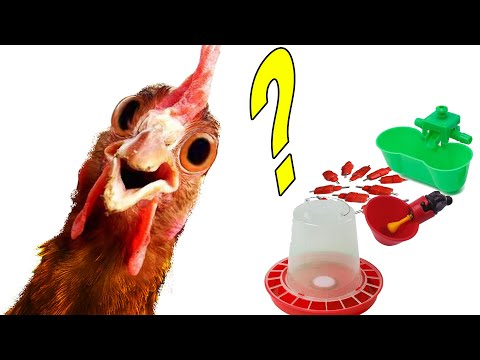 Видео: НЕ ПОКУПАЙТЕ ЭТИ ПОИЛКИ ДЛЯ КУР -  недостатки и достоинства нипельных поилок