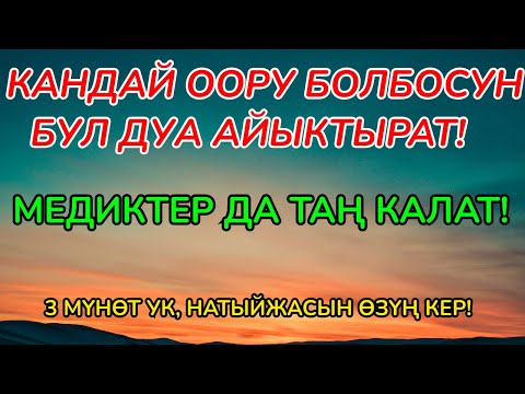 Видео: Пайгамбардын дубасы менен оорунун тамыры кургайт! Дароо шыпаа табыңыз