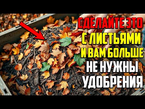 Видео: Превратите Листья В Золото! Секретный Метод Плодородной Земли!