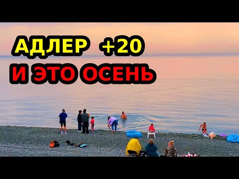 Видео: АДЛЕР | + 20 В НОЯБРЕ | ТАКУЮ ОСЕНЬ Я НЕ ВИДЕЛ ДАВНО | МАНДАРИН | ЧАЙКА | ЮВ |ЛАЗУРЬ ОГОНЕК