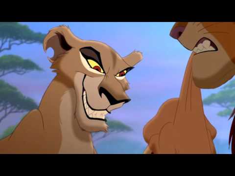 Видео: Король лев Зира - Львица