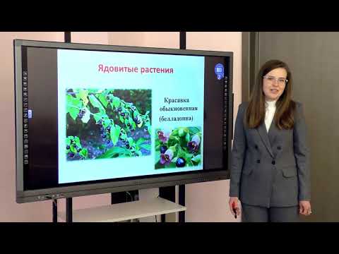 Видео: 7 класс. Биология. Съедобные и ядовитые дикорастущие растения