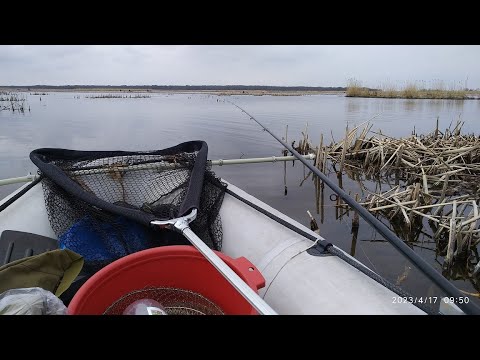 Видео: 2023 04 17 Лука   оснастка поплавочной в камышах