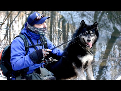 Видео: Зимова Риболовля 2025 року. Хенк, ЛІС! Щука та окунь. Favorite Arena.