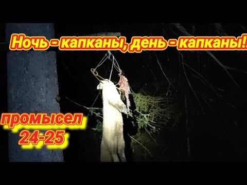 Видео: Такая проверка путиков у меня впервые!!!