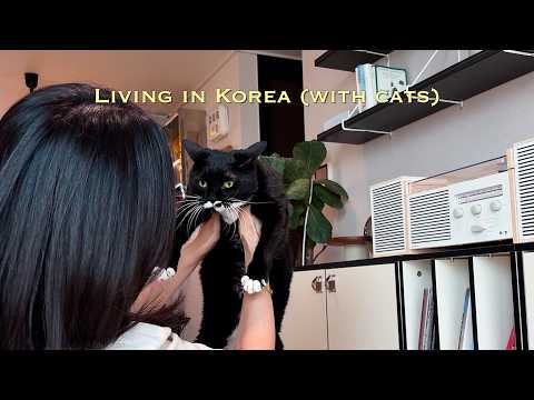 Видео: Уютный день интроверта🏡 Энергия потеряна в торговом центре 🛍️