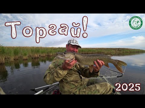Видео: ТОРГАЙ 2025! Я В ШОКЕ, ЭТОТ ПОПЕР С БУТЫЛКИ ОТ ШАМПАНСКОГО КОСИТ КРУПНЫХ ЩУК, РЫБАЛКА В КАЗАХСТАНЕ!