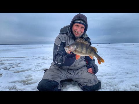 Видео: Зимняя рыбалка. Рыбинка. Окунь на балансир в глухозимье.