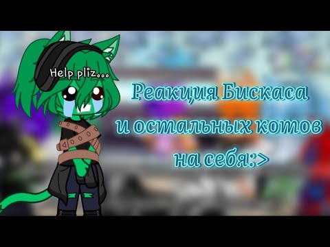 Видео: •Реакция Бискаса и остальных котов на себя•