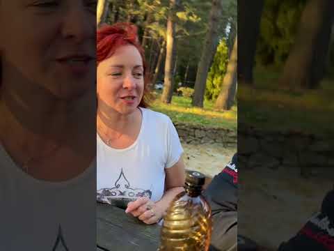 Видео: Осеннее путешествие с Любимками за грибами в Талдом