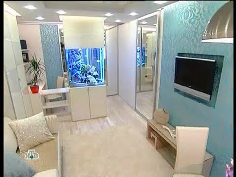 Видео: Квартирный вопрос - Аквариум в гостиной (НТВ, 07.07.2007)