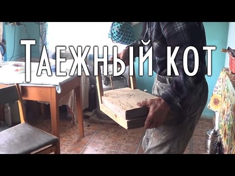 Видео: ТАЕЖНЫЙ КОТ - бич вредных грызунов 🐱